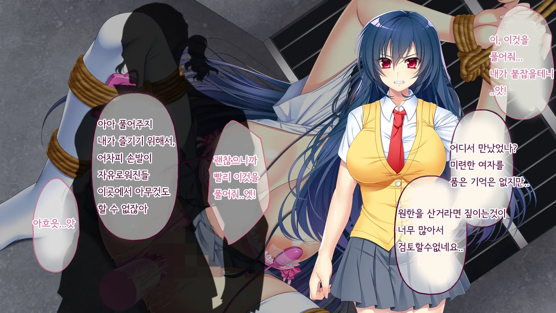 Nigeba Nashi! Misshitsu Chikan Densha ~ Otori Sosakan No Hamerare Jigoku | 도망칠수 없어! 밀실치한전차 ~함정수사관의 삽입지옥~